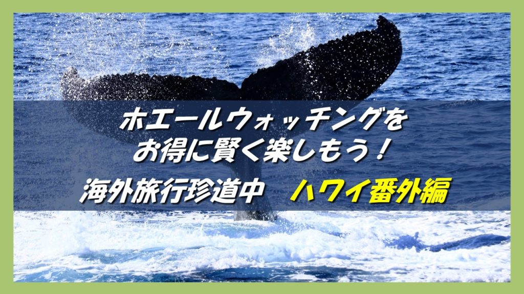 ハワイ旅行記 海外旅行どこでもトラブル珍道中 7日目 マウイ島アクティビティ ホエールウォッチング エンタメde英会話